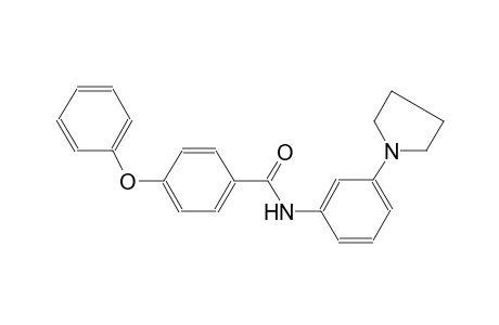 4-phenoxy-N-[3-(1-pyrrolidinyl)phenyl]benzamide