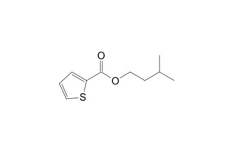 2-Thiophenecarboxylic acid, isopentyl ester