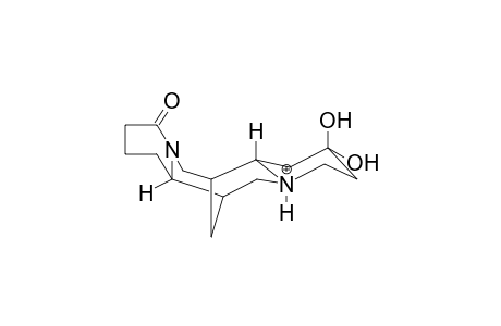 13-KETOLUPANINE, PROTONATED, GEM-DIOL