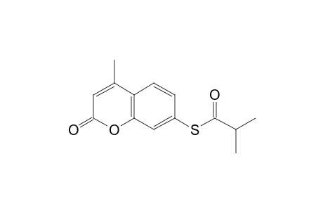 7-Mercapto-4-methylcoumarin, S-(2-methylpropionyl)-