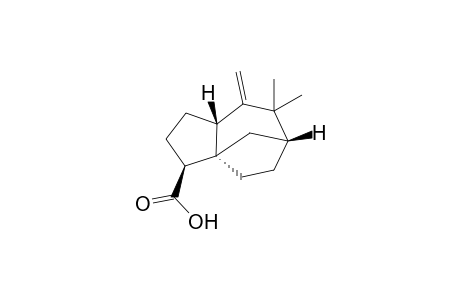 Zizanoic acid