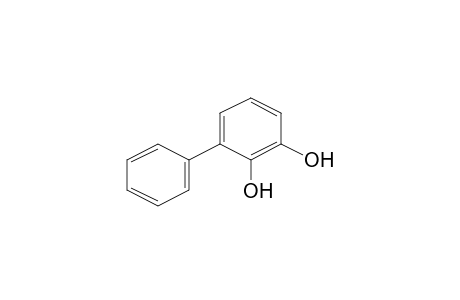 [1,1'-Biphenyl]-2,3-diol