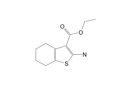 Ethyl 2-amino-4,5,6,7-tetrahydrobenzo[b]thiophene-3-carboxylate