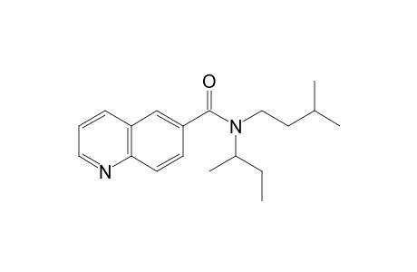 Quinoline-6-carboxamide, N-(2-butyl)-N-(3-methylbutyl)-