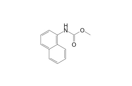 1-naphthalenecarbamic acid, methyl ester