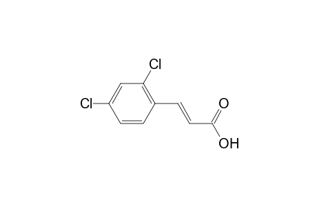 trans-2,4-Dichlorocinnamic acid