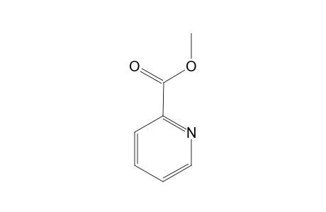 picolinic acid, methyl ester