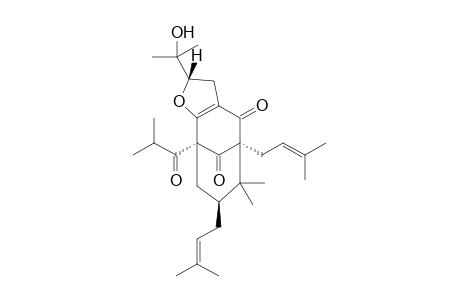 GARCINIELLIPTONE-M;9,9-DIMETHYL-6-ALPHA,8-BETA-DI-(GAMMA,GAMMA-DIMETHYLALLYL)-3,4-[2-BETA-(2'-HYDROXYISOPROPYL)-2,3-DIHYDROFURAN]-2-ALPHA-(1-OXO-2-