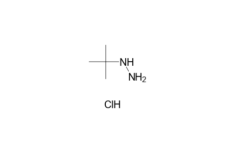 tert-butylhydrazine, monohydrochloride