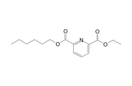 2,6-Pyridinedicarboxylic acid, ethyl hexyl ester