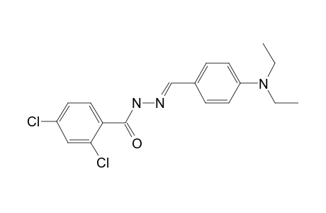 2,4-bis(chloranyl)-N-[(E)-[4-(diethylamino)phenyl]methylideneamino]benzamide