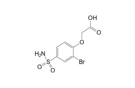 (2-bromo-4-sulfamoylphenoxy)acetic acid