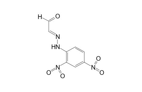 glyoxal, mono[(2,4-dinitrophenyl)hydrazone]