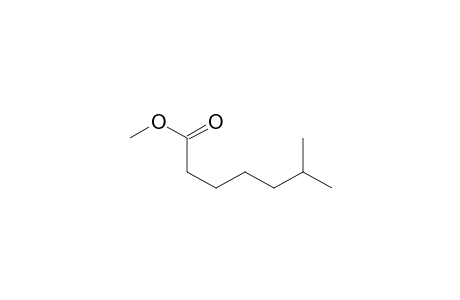 Methyl 6-methyl heptanoate