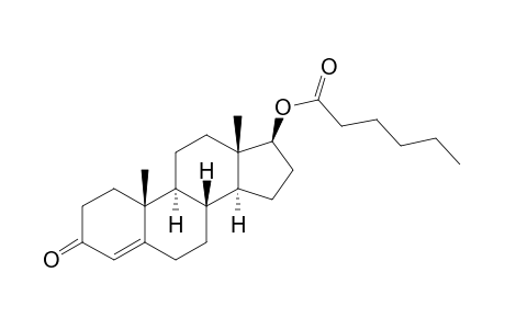 Testosterone caproate