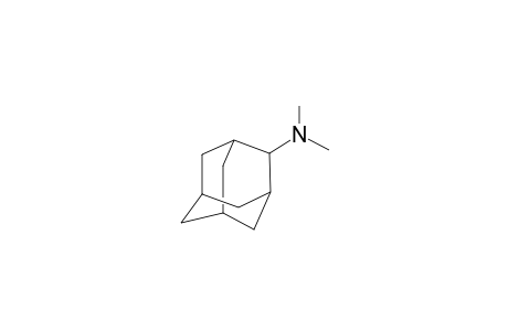 2-Dimethylamino-adamantane