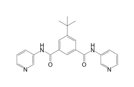 5-tert-butyl-N,N'-di-3-pyridylisophthalamide