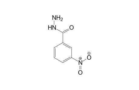 m-Nitrobenzoic acid, hydrazide