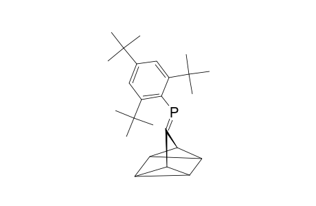 3-(2,4,6-TRI-TERT.-BUTYLPHENYLPHOSPHINYLIDENE)-QUADRICYCLANE