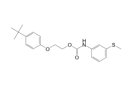(3-Methylsulfanylphenyl)carbamic acid, 2-(4-tert-butylphenoxy)ethyl ester