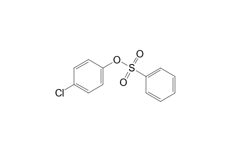 Benzenesulfonic acid, p-chlorophenyl ester