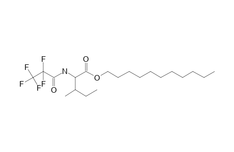 L-Isoleucine, N-pentafluoropropionyl-, undecyl ester