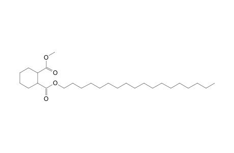 1,2-Cyclohexanedicarboxylic acid, methyl octadecyl ester