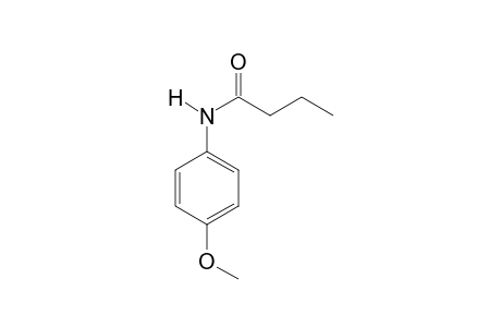 4-Methoxyaniline BUT