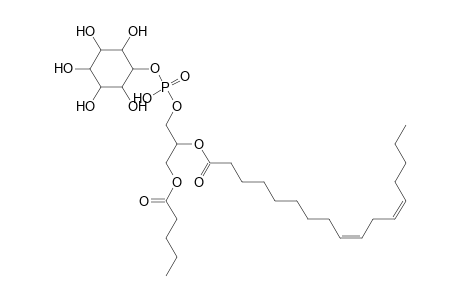 PI 5:0_17:2