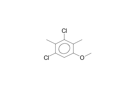 3,5-DICHLORO-2,4-DIMETHYL-1-METHO