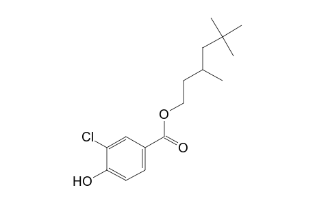 3-chloro-4-hydroxybenzoic acid, 3,5,5-trimethylhexyl ester