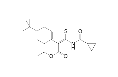 Benzothiophene-3-carboxylic acid, 4,5,6,7-tetrahydro-6-tert-butyl-2-cyclopropanoylamino-, ethyl ester