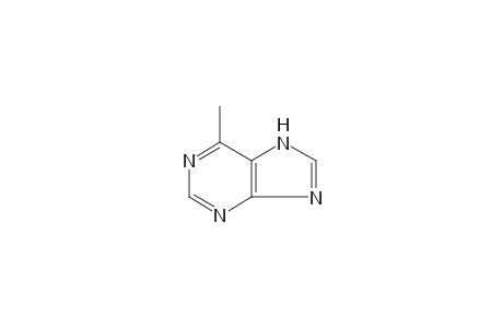 6-Methylpurine