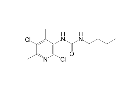 urea, N-butyl-N'-(2,5-dichloro-4,6-dimethyl-3-pyridinyl)-