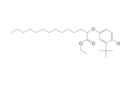 Ethyl-alpha-(3-t-butyl-4-hydroxyphenoxy)myristate