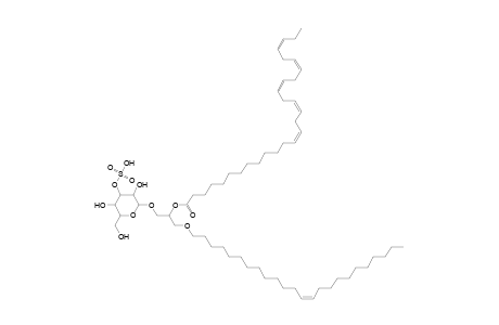 SMGDG O-24:1_28:5