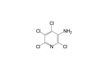 2,4,5,6-Tetrachloro-pyridin-3-ylamine