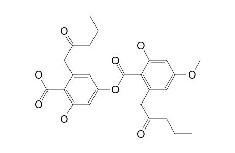 Benzoic acid, 2-hydroxy-4-[[2-hydroxy-4-methoxy-6-(3-oxopentyl)benzoyl]oxy]-6-(3-oxopentyl)-