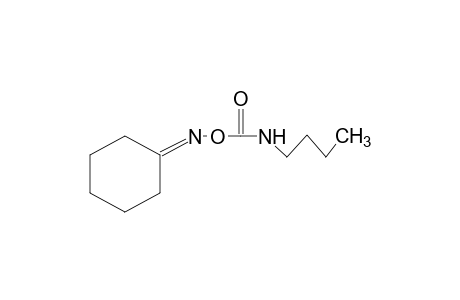 cyclohexanone, O-(butylcarbamoyl)oxime