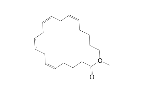 Methyl arachidonate