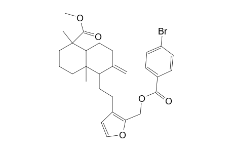 methyl (1S,4aR,5S)-5-[2-(2-{[(4-bromobenzoyl)oxy]methyl}-3-furyl)ethyl]-1,4a-dimethyl-6-methylenedecahydro-1-naphthalenecarboxylate