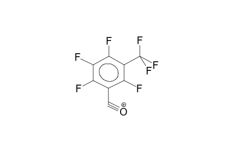 HEPTAFLUORO-META-TOLUIDYL CATION