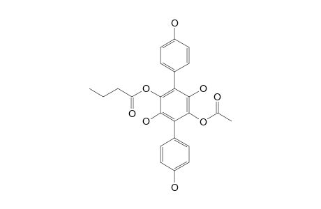 CURTISIAN-O;ACETIC-ACID-3',4,4'',6'-TETRAHYDROXY-2'-(1-OXOBUTOXY)-[1,1':4',1''-TERPHENYL]-5'-YLESTER