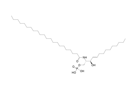 CerP 14:1;2O/22:0