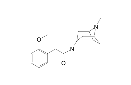 N1-(8-Methyl-8-azabicyclo[3.2.1]oct-3-yl)-2-(2-methoxyphenyl)acetamide