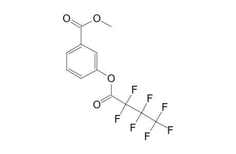 Methyl 3-heptafluorobutyryloxybenzoate