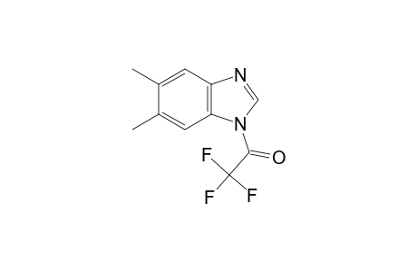 5,6-dimethyl-1-(trifluoroacetyl)-1H-benzimidazole