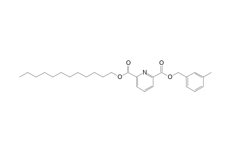 2,6-Pyridinedicarboxylic acid, 3-methylbenzyl dodecyl ester