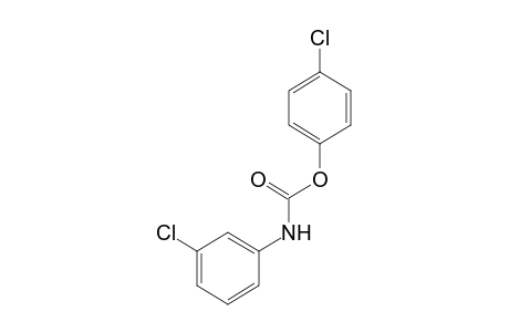 m-chlorocarbanilic acid, p-chlorophenyl ester