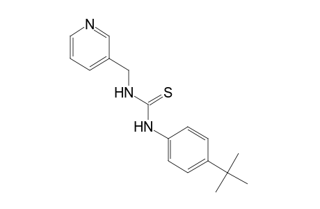 1-(p-tert-butylphenyl)-3-[(3-pyridyl)methyl]-2-thiourea